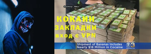 прущие грибы Михайловка