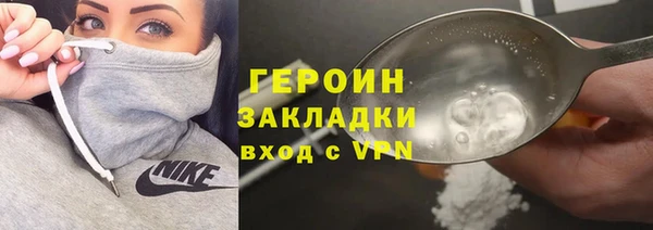 индика Медвежьегорск