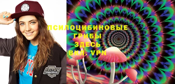 прущие грибы Михайловка