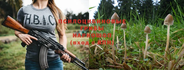 прущие грибы Михайловка