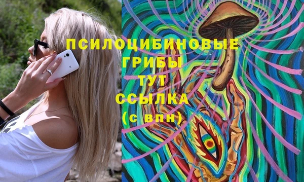 прущие грибы Михайловка